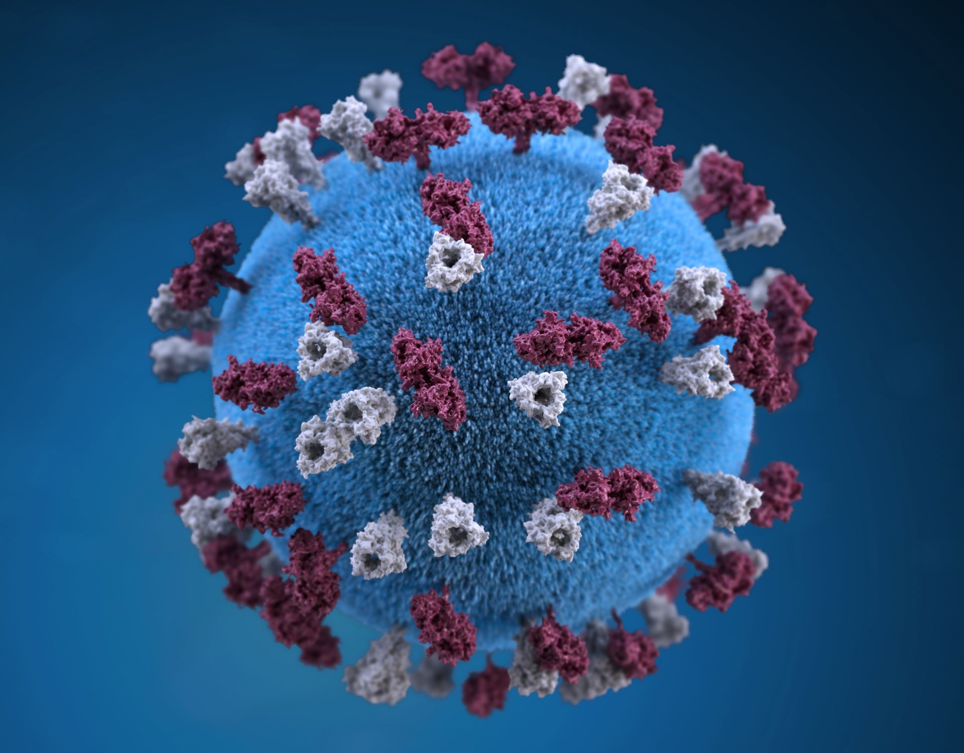 measles